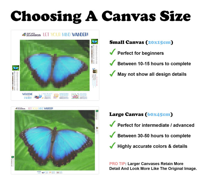 Azure Butterfly Wings