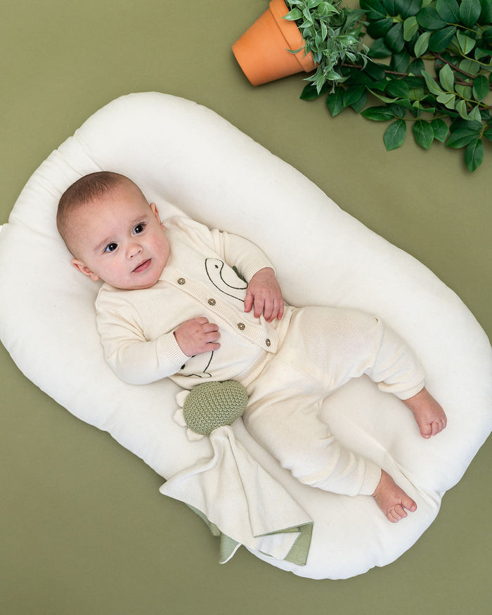 Dinosaur - Organic Baby Lovey Security Blanket Cuddle Cloth