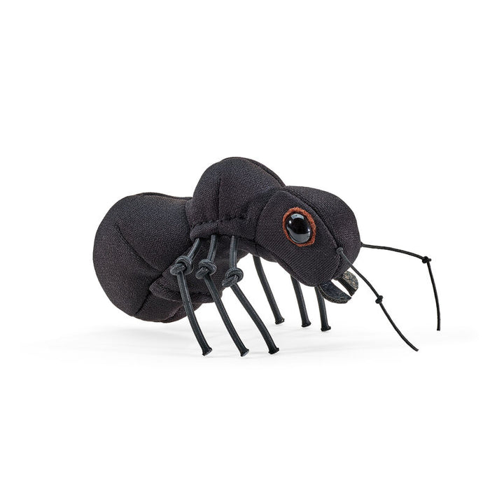 Ant