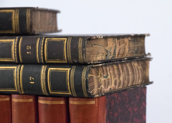 French Antique Leather Bound Books