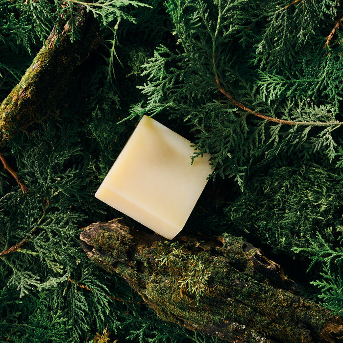 Hinoki Cypress & Fir Soap