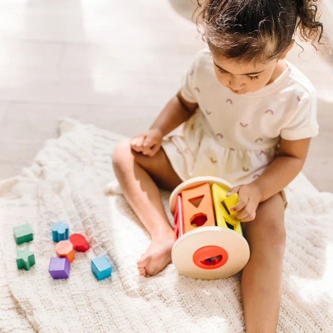 Melissa & Doug Match & Roll Shape Sorter
