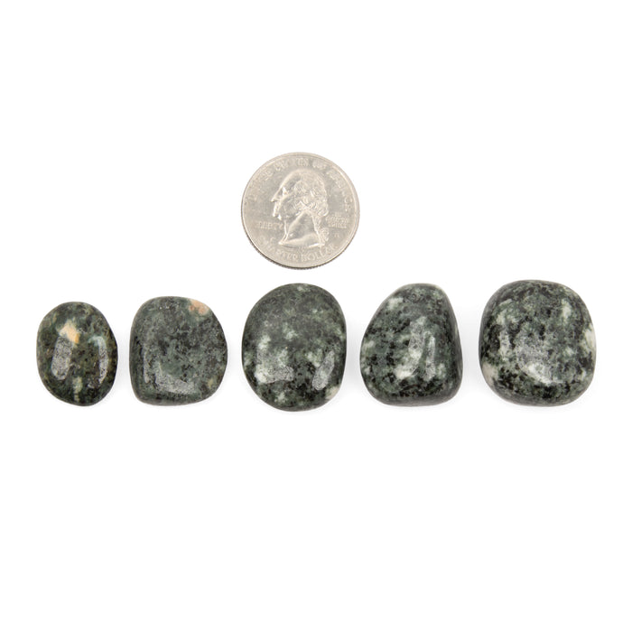 Preseli Bluestone - Tumbled Stone(s)