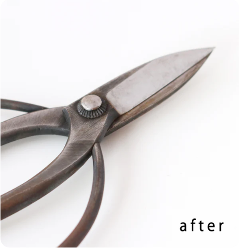 R3 Pruning Shears Rust Eraser