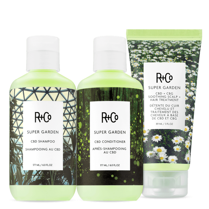 SCALP CARE Kit