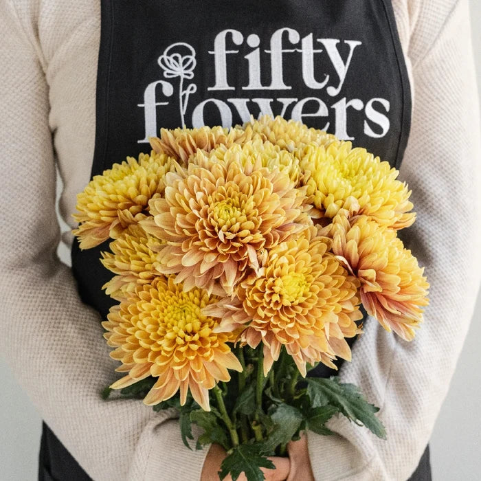Salmon Oefa Apron - Image
