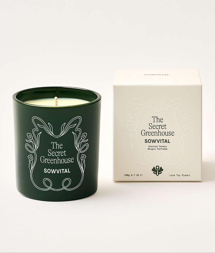 Green candle with decorative design and matching box on a white background