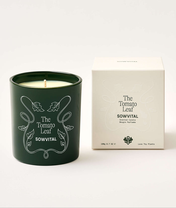 Green candle with decorative design and matching box on a white background