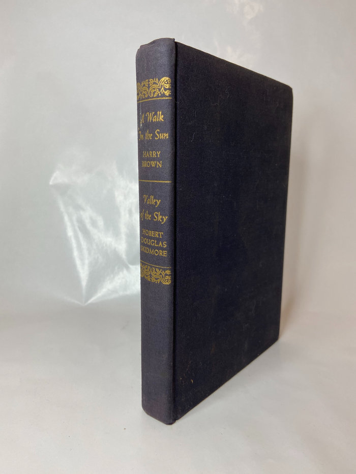A Walk in the Sun & Valley of the Sky [Book]