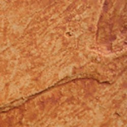 Ancient Amber / 1 Gal