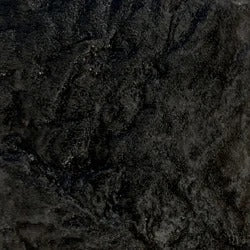 Black Fury / 1 Gal