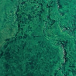 Mahalo Teal / 1 Gal