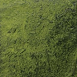 Python Green / 1 Gal