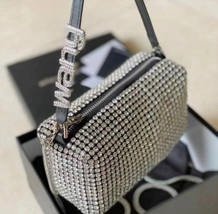 Alexander wang bags
