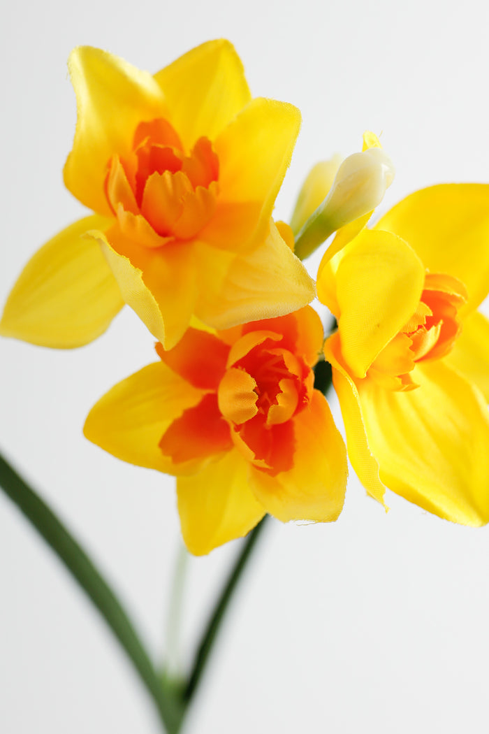 AM Basics 17" Artificial Daffodils Flowers Fake Narsissus Floral