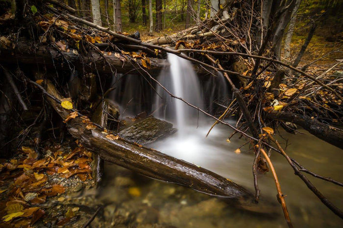 At Peace With Nature