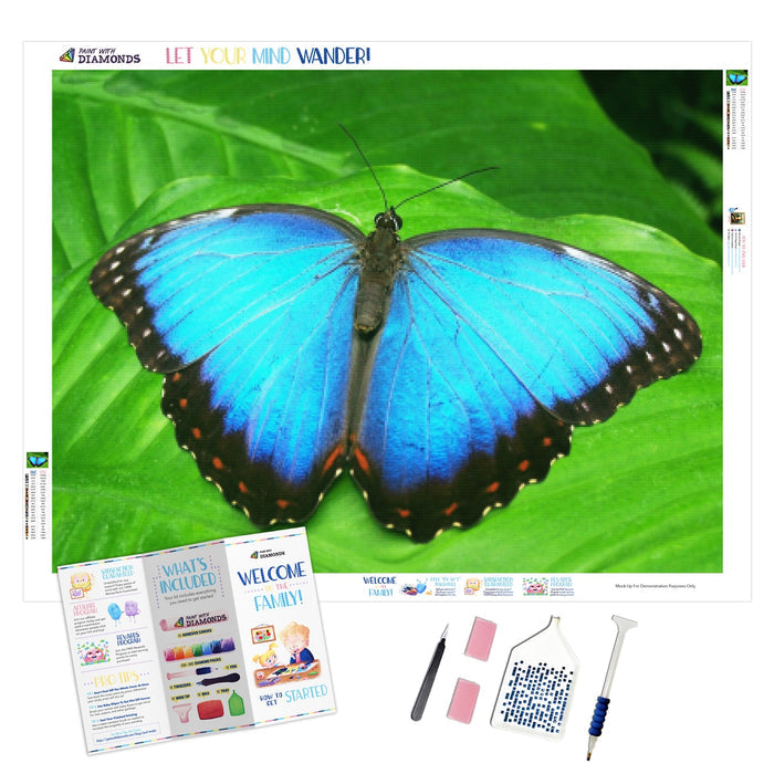 Azure Butterfly Wings
