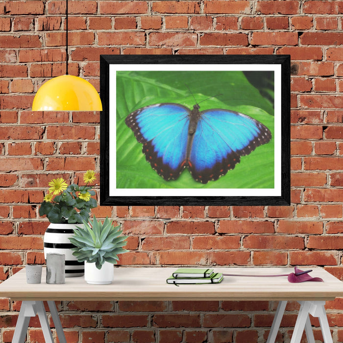 Azure Butterfly Wings