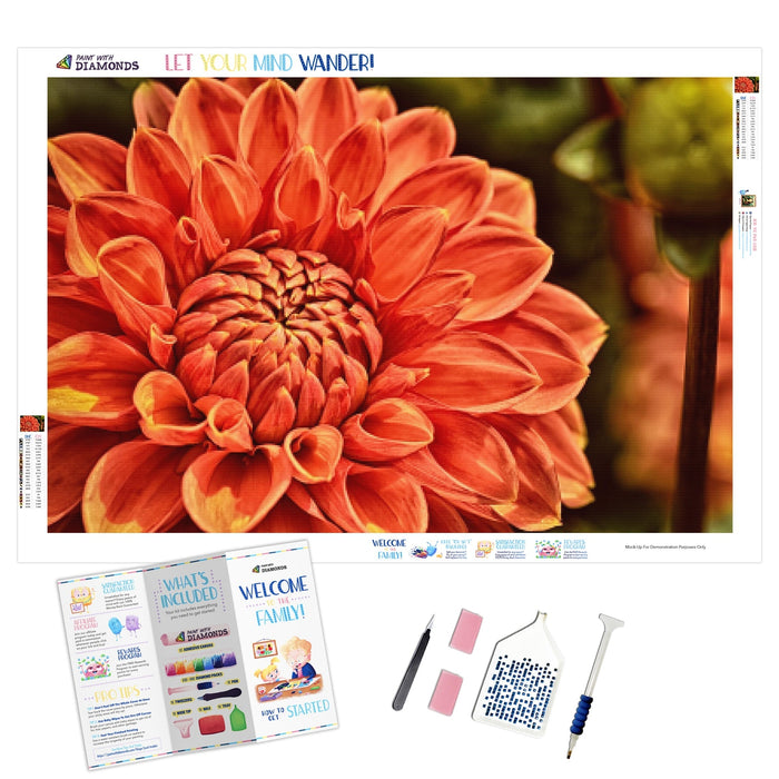 Beautiful Dahlia