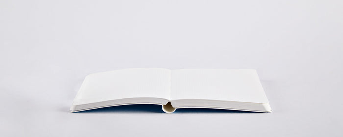 Blue Pearl S Notebook