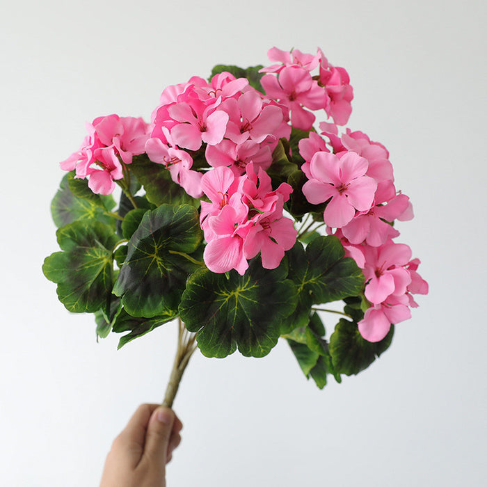 Pink/White