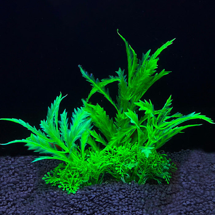 Bulk 8 Pack Aquarium Plants Underwater Plants Aquarium Fish Tank Landscaping Plants Wholesale
