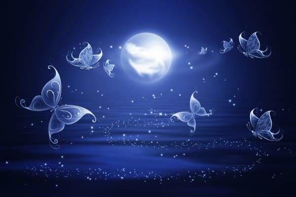 Moon Diamond Painting Kit - Butterfly Midnight Fantasy-Square 20x30cm- - Paint With Diamonds