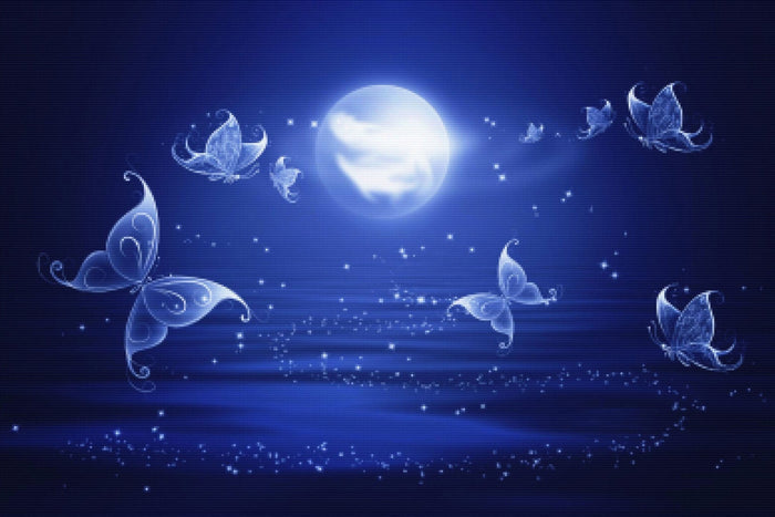 Butterfly Midnight Fantasy