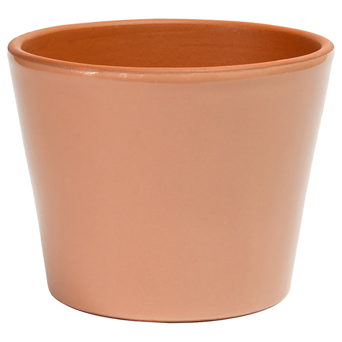 Cabo Pot 7.7" Rose