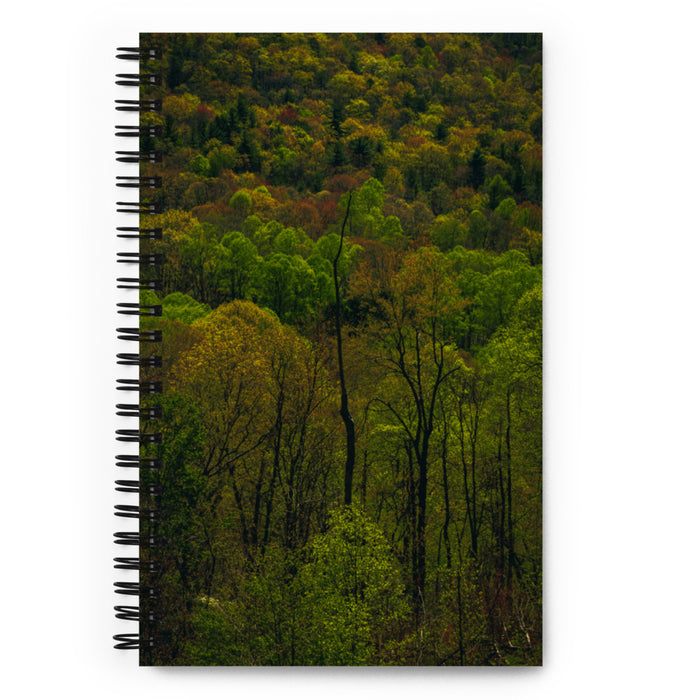 Dark Forest, Notebook
