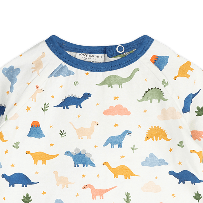 Dino Baby Tee & Jogger (Organic Jersey) - Detail