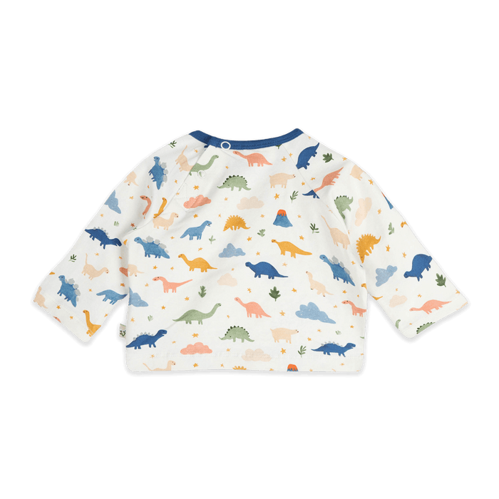 Dino Baby Tee & Jogger (Organic Jersey) - Back