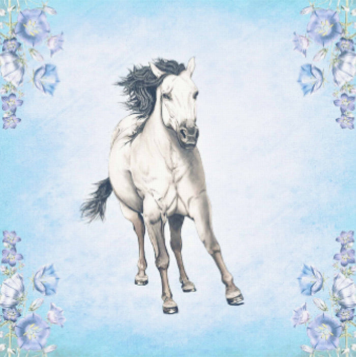Equine Love