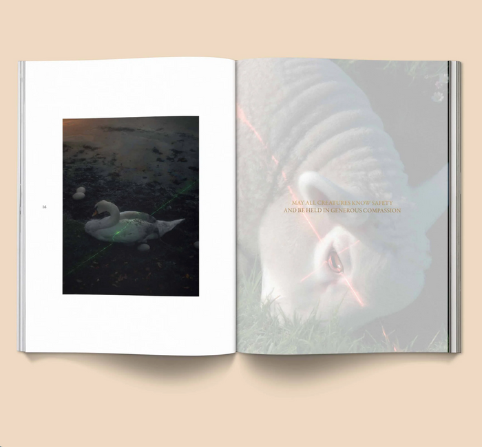 Female Pentimento Inner Nature