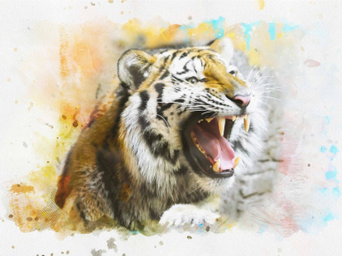 Fierce Tiger Watercolor