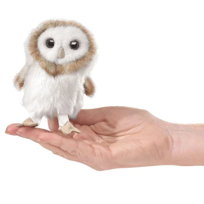 Barn Owl
