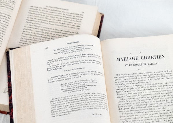 French Antique Leather Bound Books