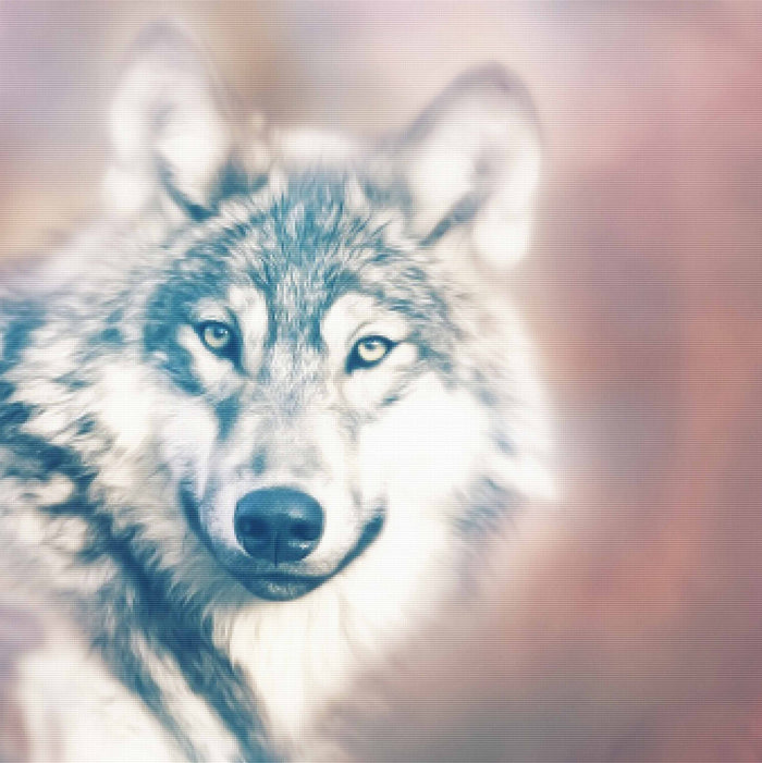 Glowing Wolf