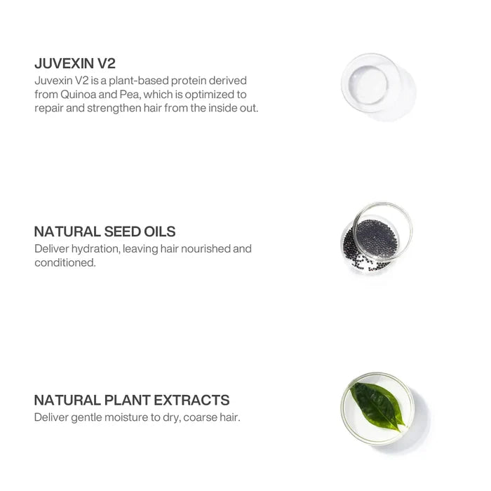 GK Hair Hot Bombshell Masque ingredients: Juvexin V2 quinoa-pea protein, seed oils for hydration, plant extracts for dry hair