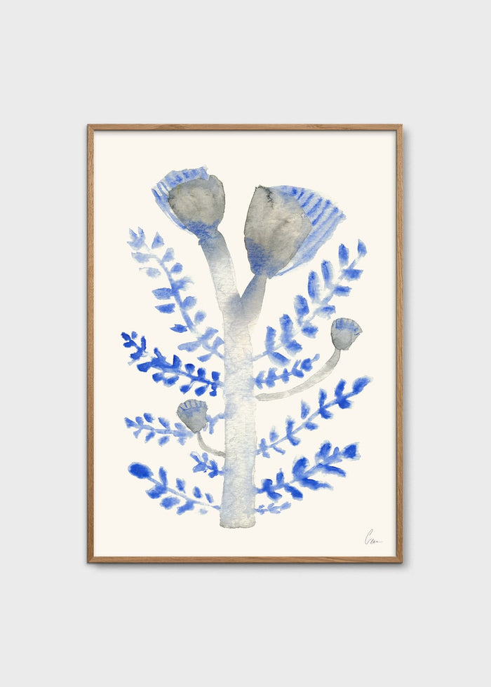 Januari by Clara Schicketanz