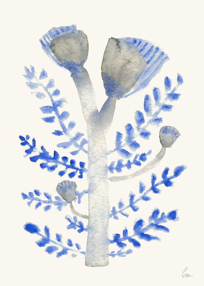 Januari by Clara Schicketanz