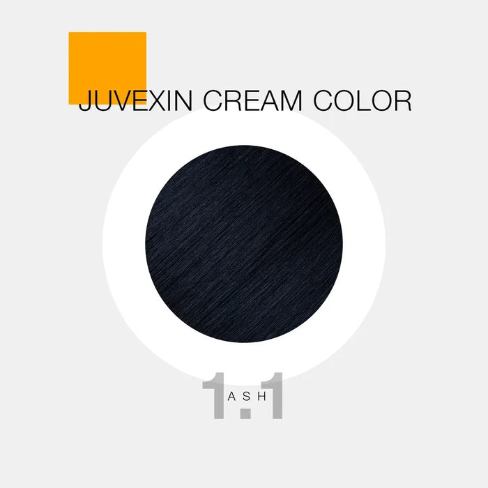 Ash / 1.1 Blue Black
