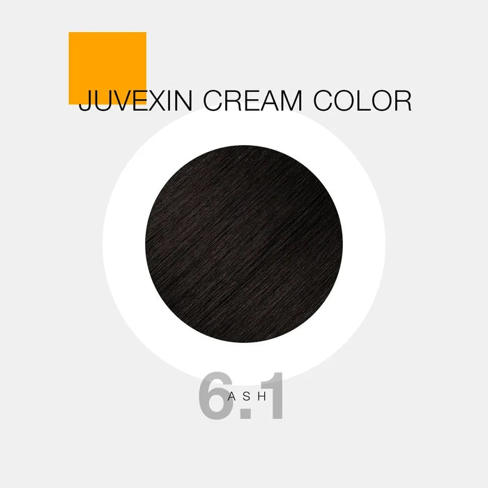 Ash / 6.1 Dark Ash Blonde