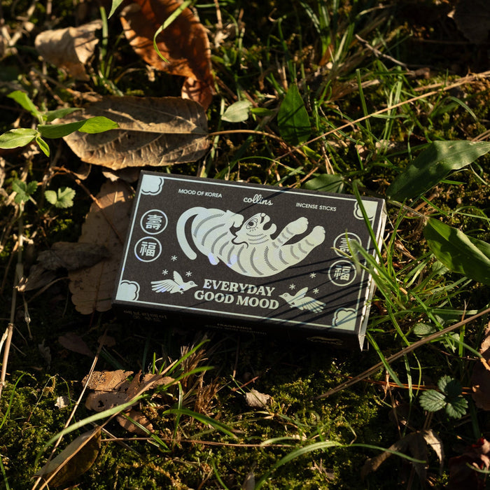 Box of Korean incense sticks labeled “Everyday Good Mood” placed on moss, grass, and fallen leaves, natural outdoor product photography highlighting a calm, earthy fragrance aesthetic.