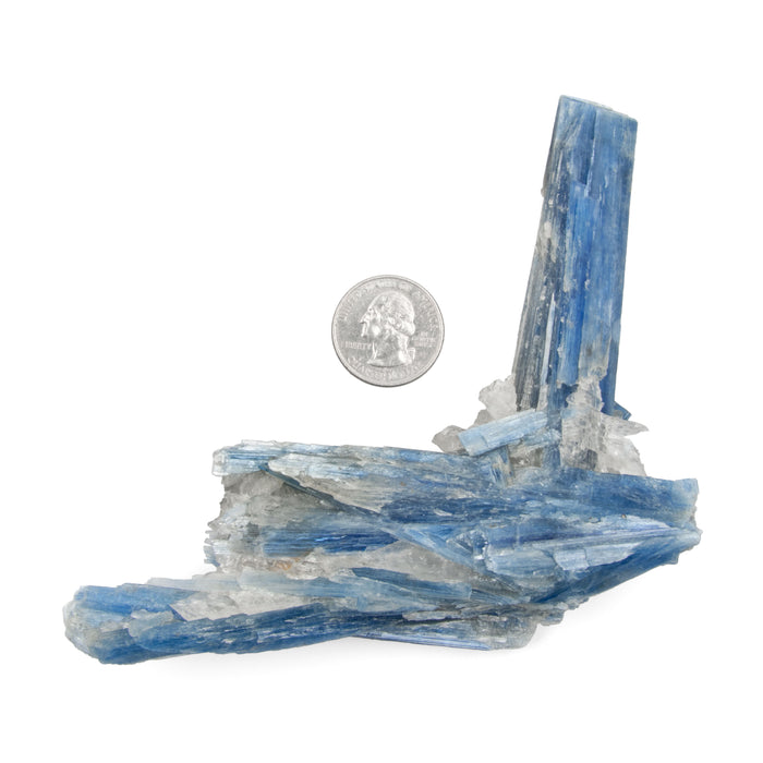 Kyanite, Blue - AA Grade Specimen