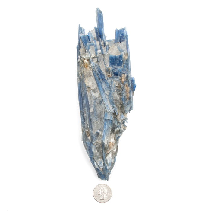 Kyanite, Blue- AA Grade Specimen