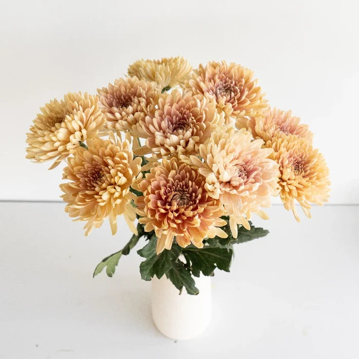 Linette Vase - Image