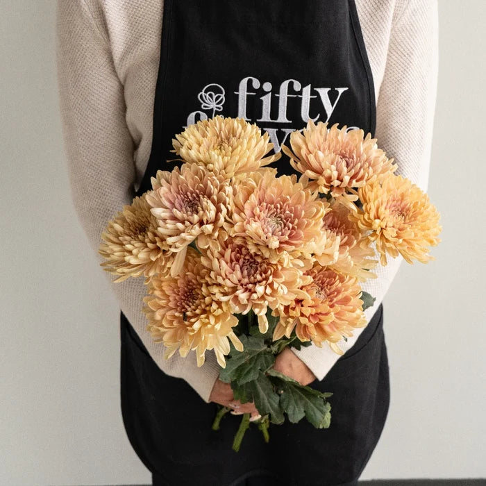 Linette Apron - Image