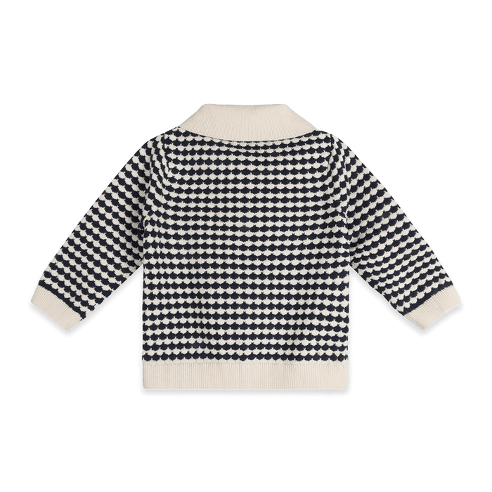 Organic Cotton Leo Textured Knit Polo Baby Pullover and Pant Set, Back