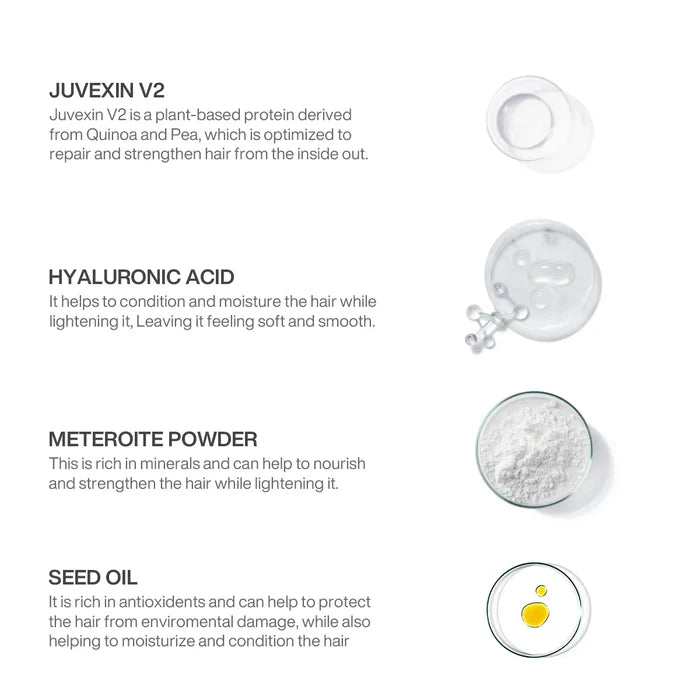 GK Hair Lightening Powder Masque ingredients: Juvexin V2 quinoa-pea protein, hyaluronic acid, meteorite powder, seed oil